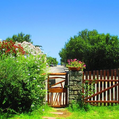 Phocea San Teodoro (Sardinia) Exterior foto